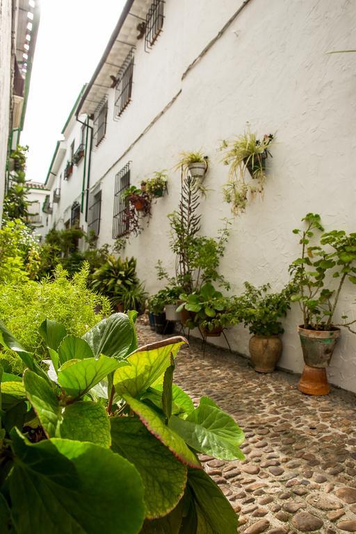 Casa Rural Zambra Priego De Cordoba Luaran gambar